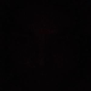 Meet your Posher, Cameron